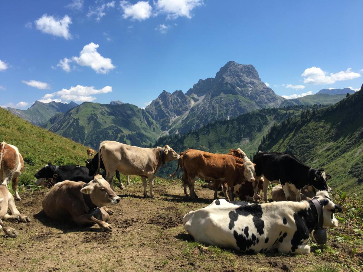 FeWo Gaisalphorn mit Netflix, Garage und Sommer-Bergbahnticket Oberstdorf Exterior foto